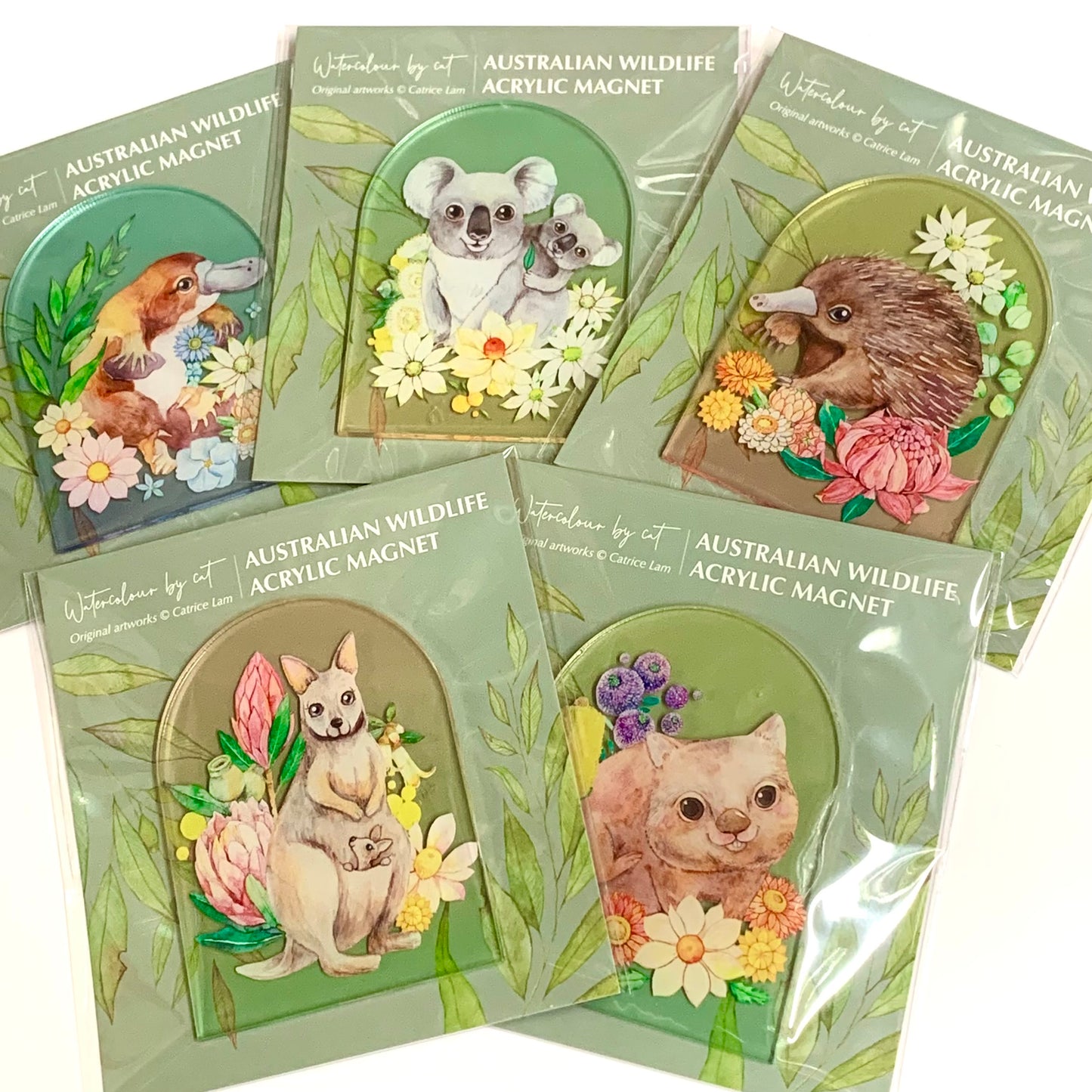 WATERCOLOURS BY CAT- Wombat- Australian Animal Art Magnet