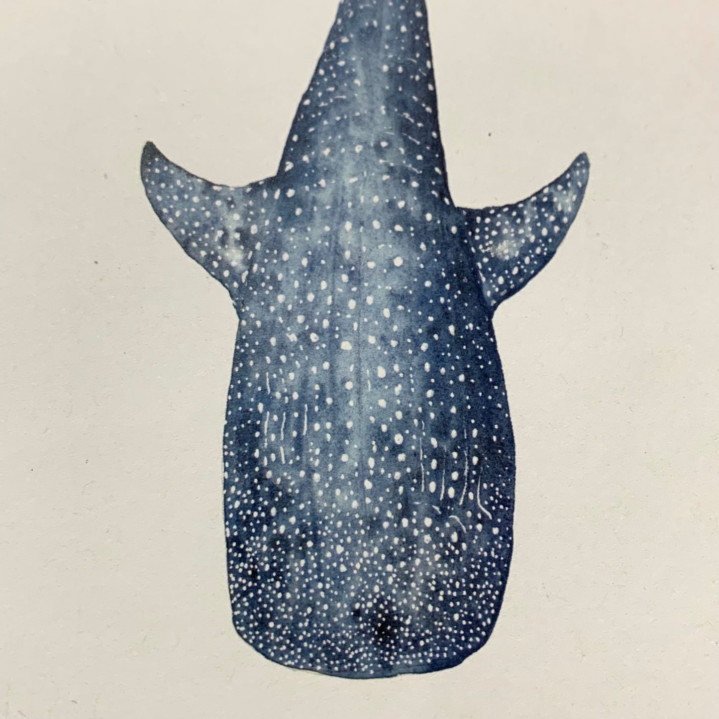 Shanna Trees Creations- Whale Shark- Regular Greeting Card