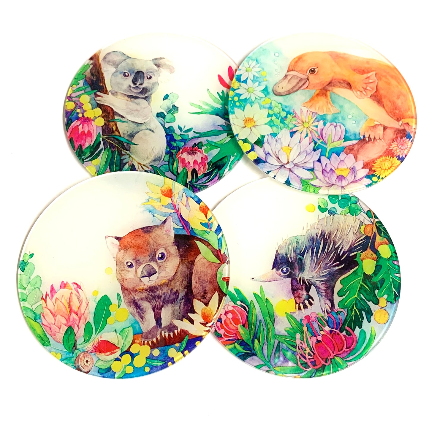 WATERCOLOURS BY CAT- Wombat- Australian Animal Art Coaster