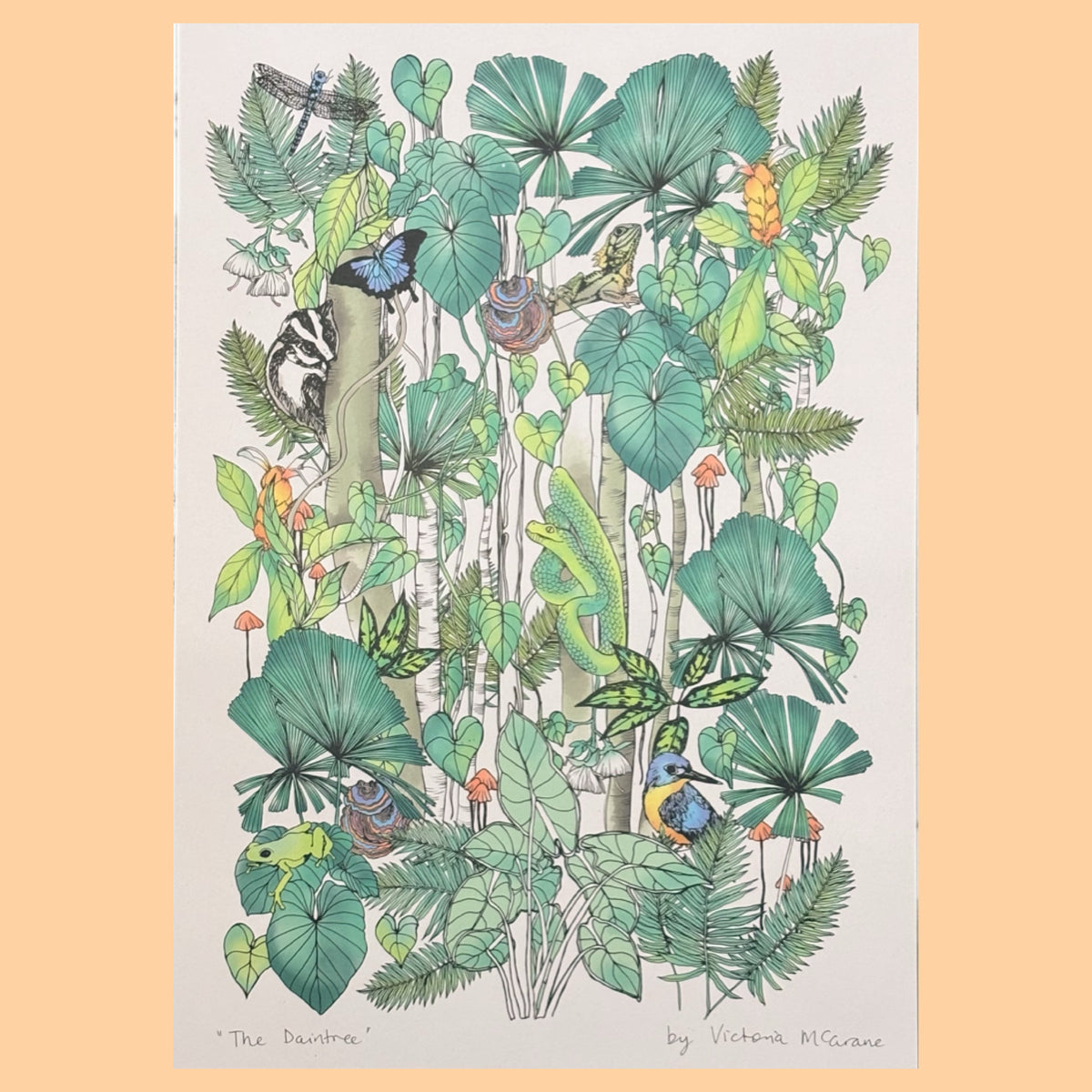 THE SCENIC ROUTE - "THE DAINTREE"- A3 ART PRINT
