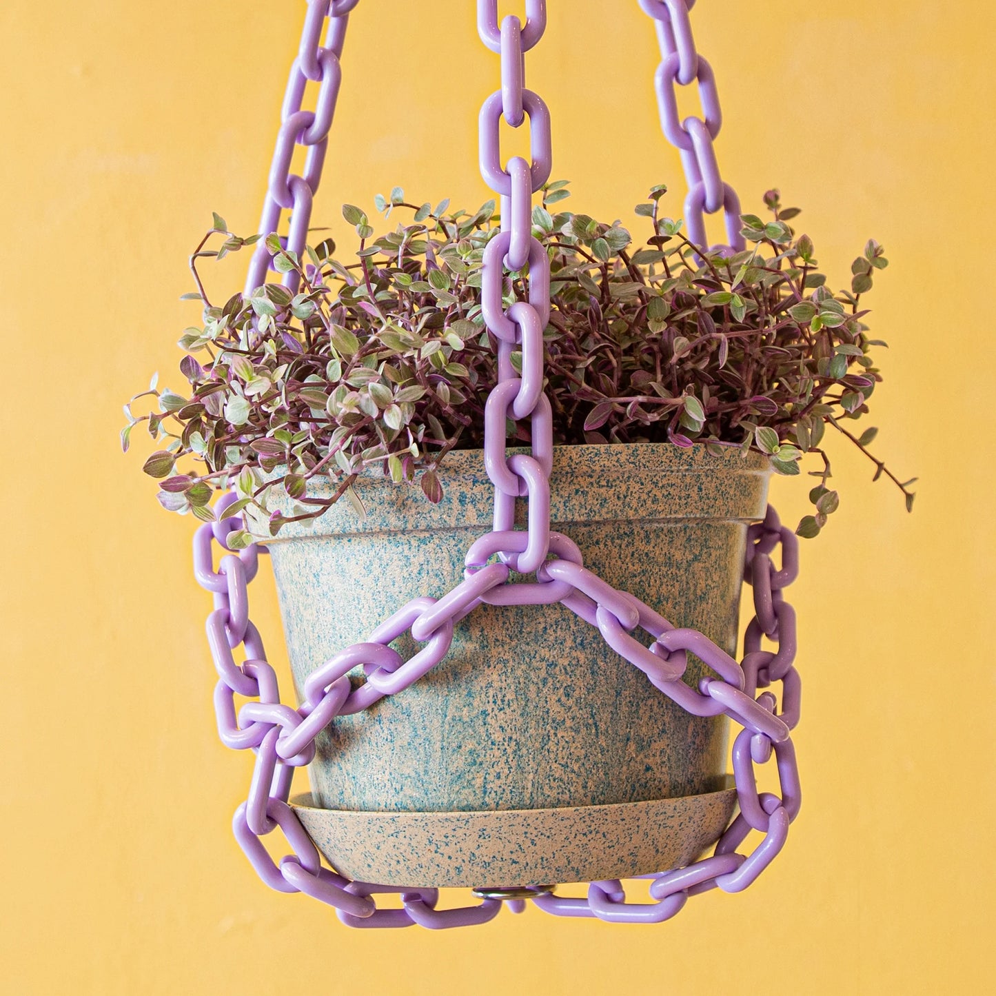 WOLJAM - Lilac Plant Chain