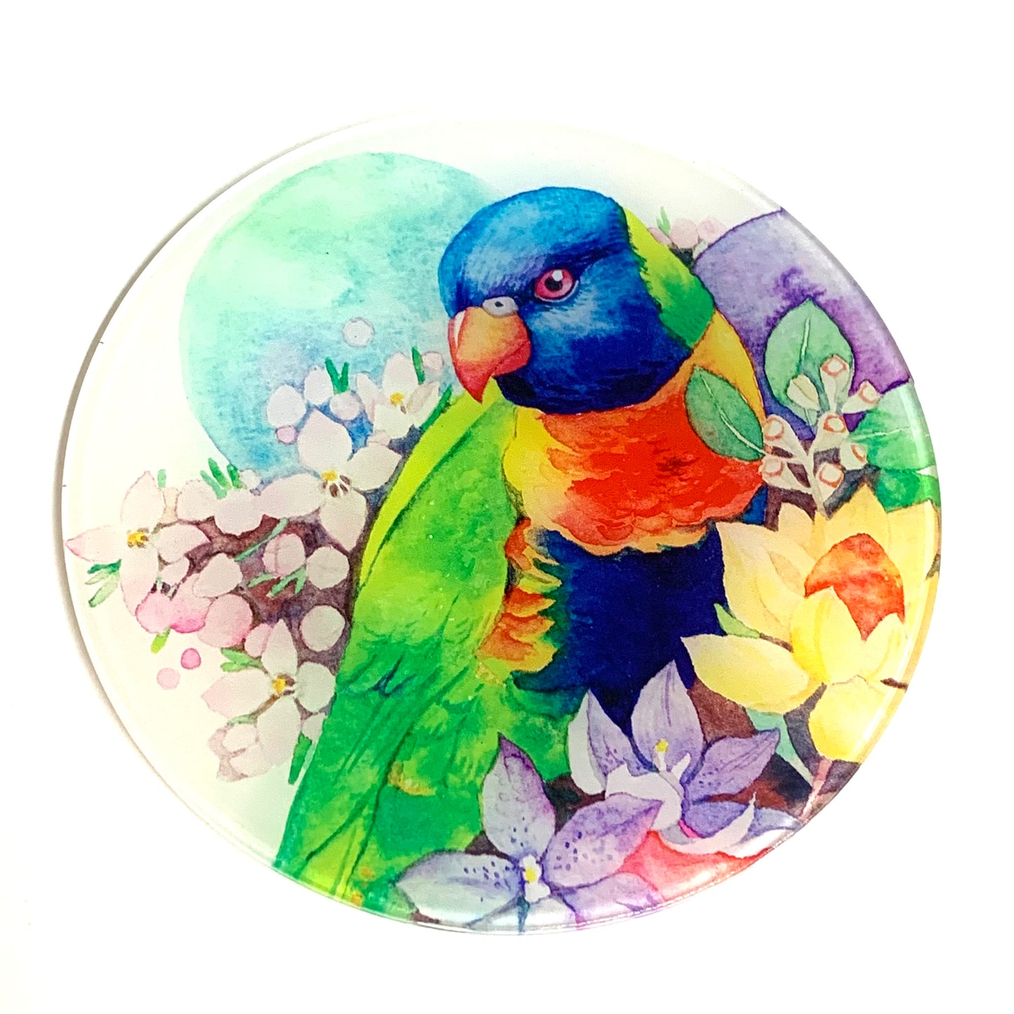 WATERCOLOURS BY CAT- Rainbow Lorikeet- Australian Bird Art Coaster
