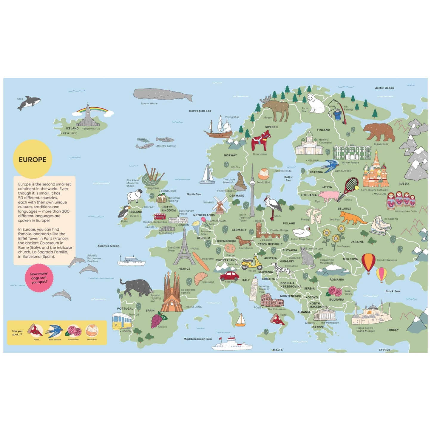 BOOKS & CO- Spot It: Around the World Atlas- By Megan McKean