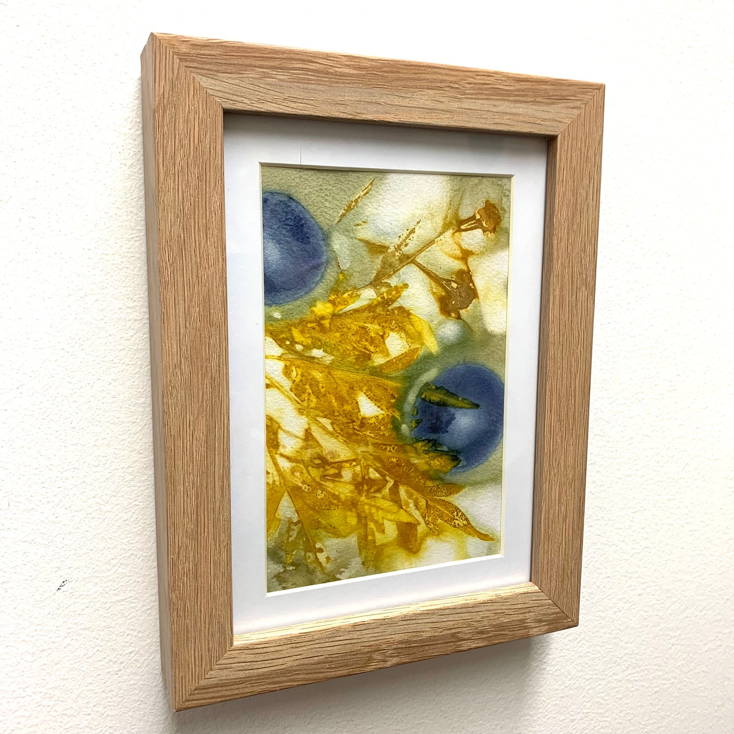 WILD BRASS- "Blue Fruit"- BOTANICAL ECO DYED PAPER FRAMED ARTWORK