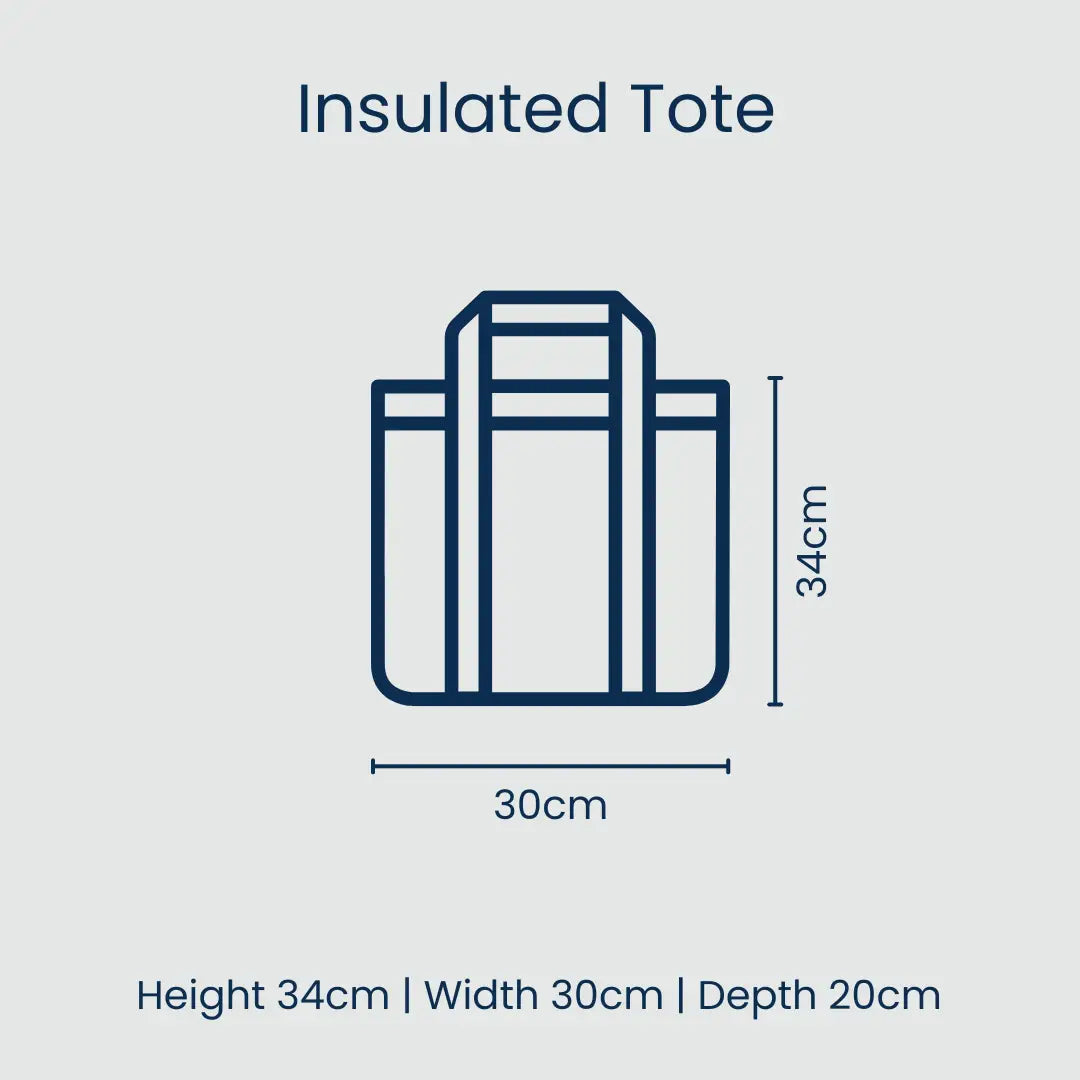 PROJECT TEN - "Blue Stripes" MEDIUM INSULATED TOTE/SHOPPER BAG