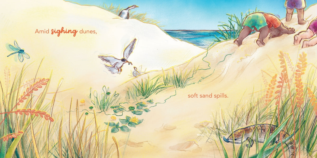 BOOKS & CO - AMID THE SAND DUNES - Andrea Rowe