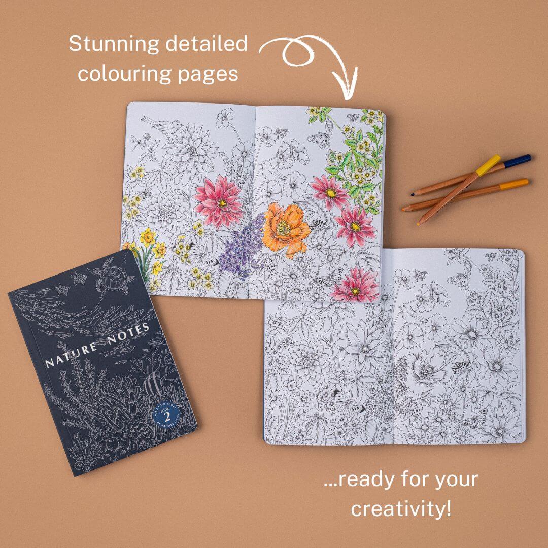YOUR WILD BOOKS- Nature Notes 2- Journal