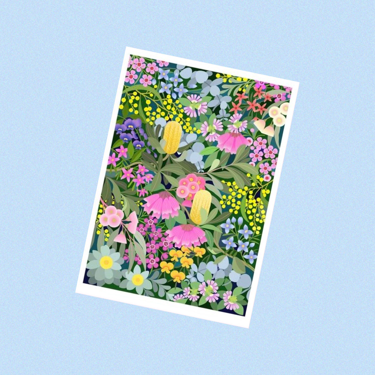 CLAIRE ISHINO- SMALL LIMITED EDITION A5 PRINTS- Australian Native Flora
