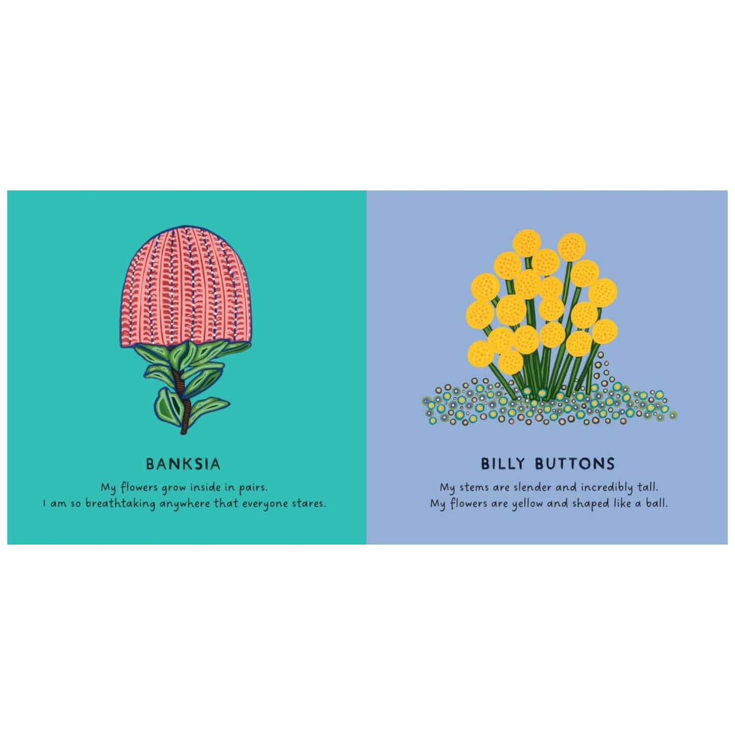 BOOKS & CO - OUR FLOWERS by Bronwyn Bancroft Board Book