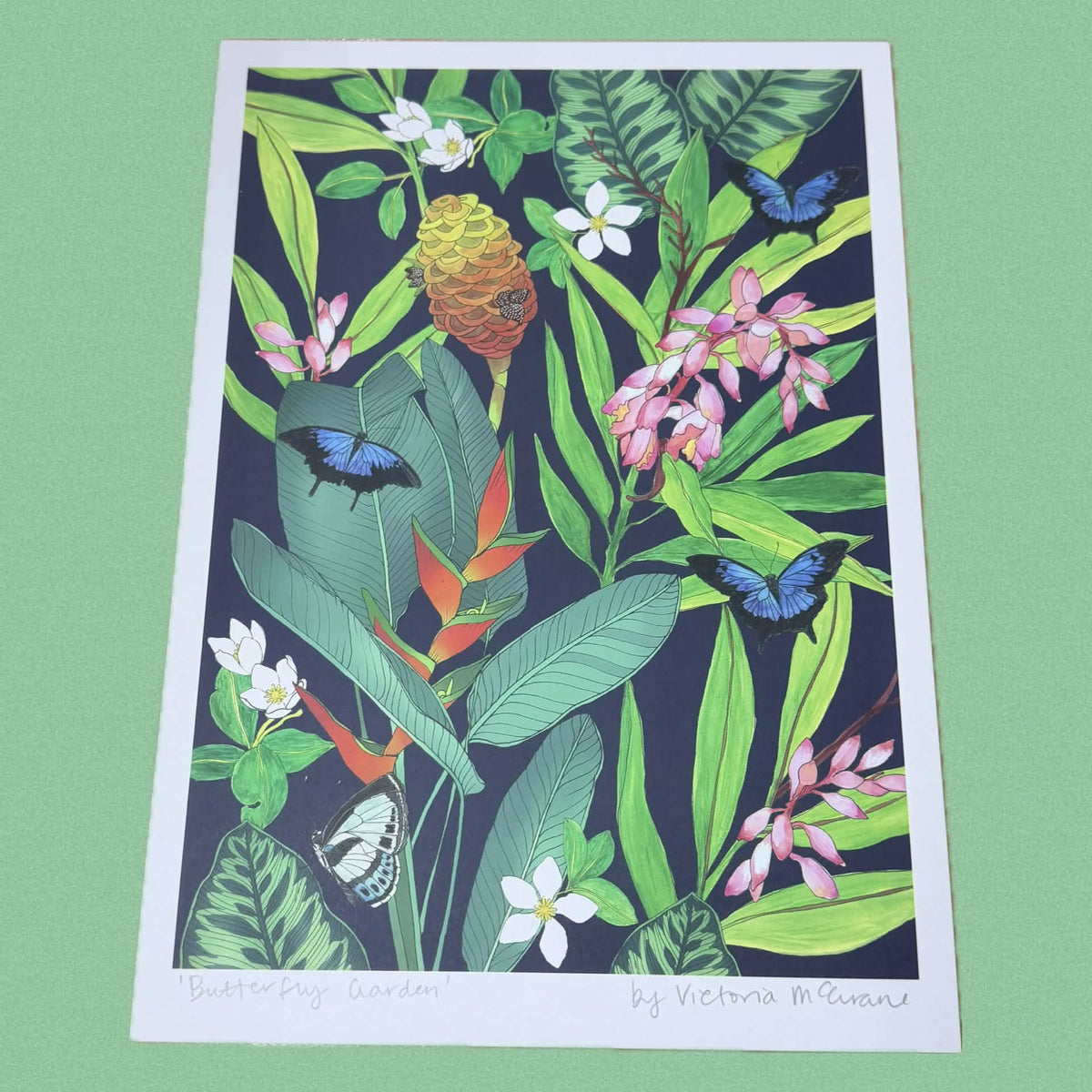 THE SCENIC ROUTE - "BUTTERFLY GARDEN"- A4 ART PRINT