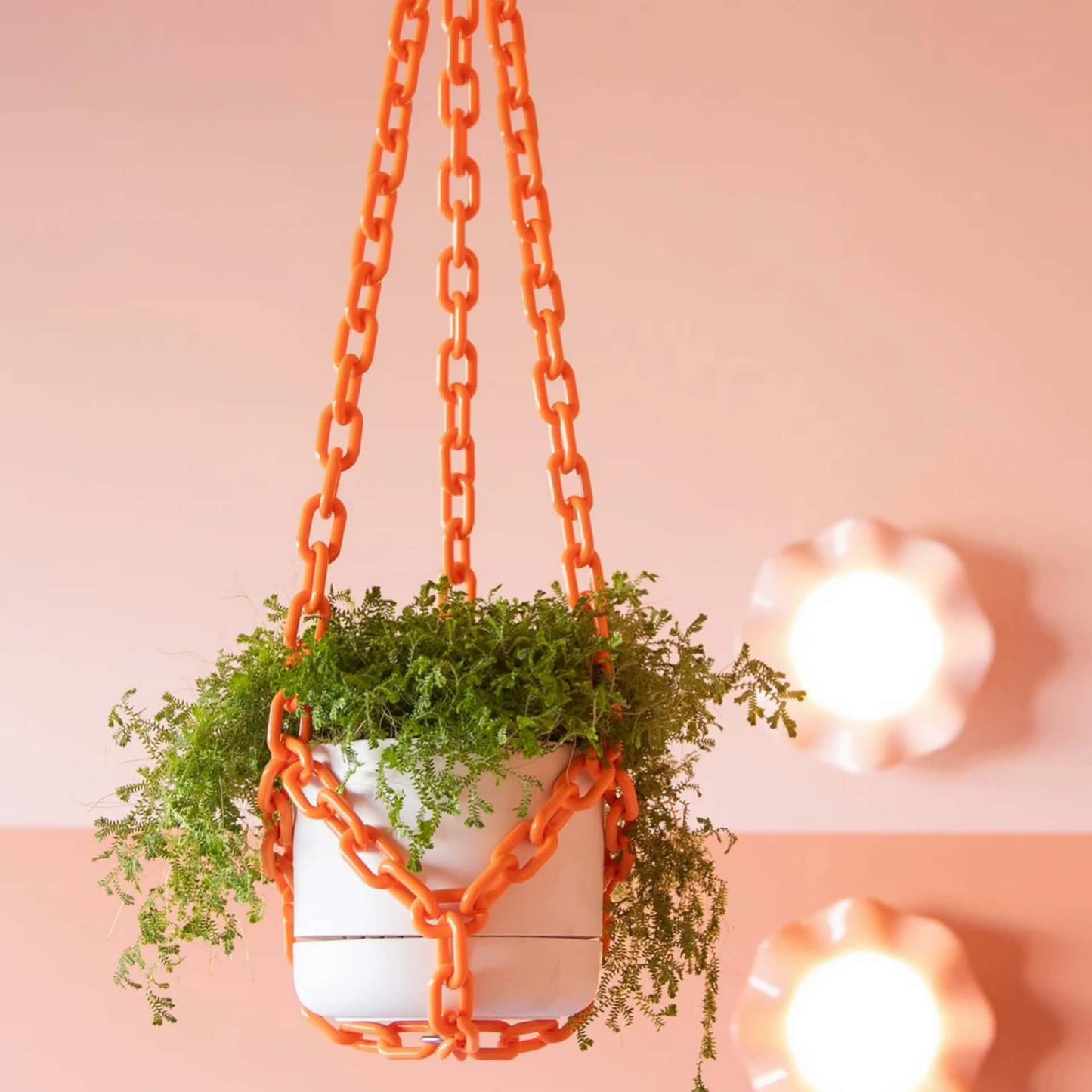 WOLJAM - Orange Plant Chain