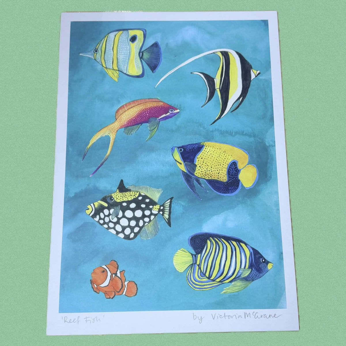THE SCENIC ROUTE - "REEF FISH"- A4 ART PRINT