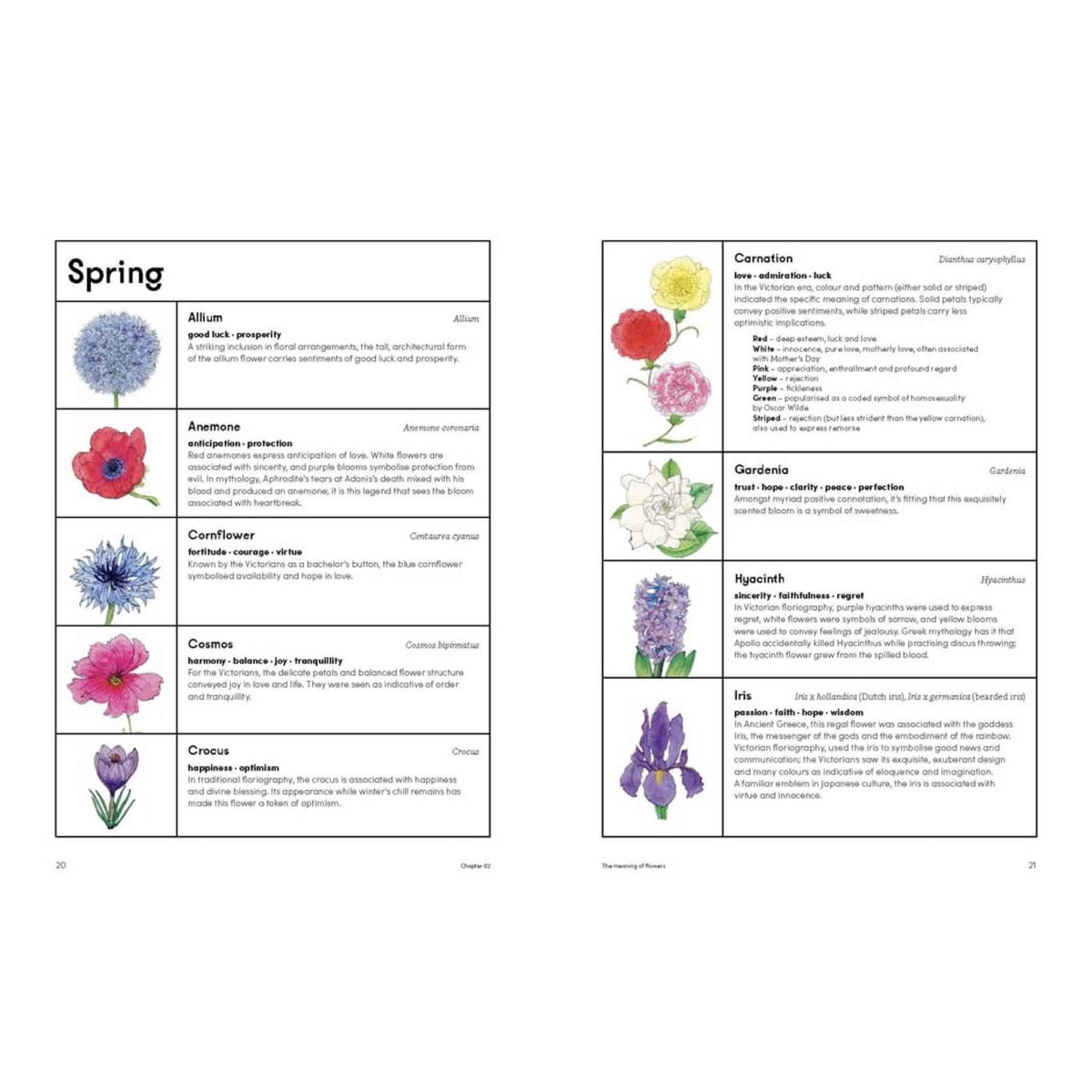 BOOKS & CO - THE PICKING GARDEN - Jo Turner