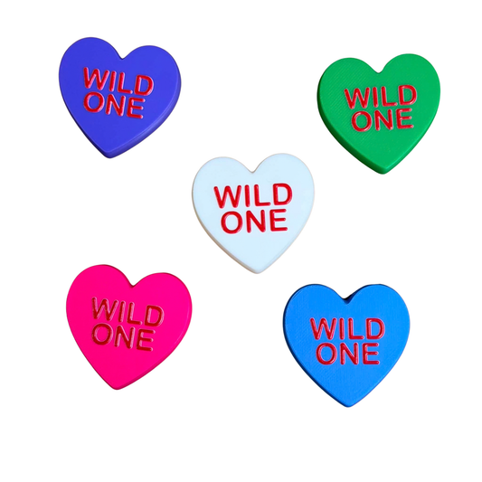 DWAYNSKI.3D - "WILD ONE" - CONVERSATION HEART MAGNETS
