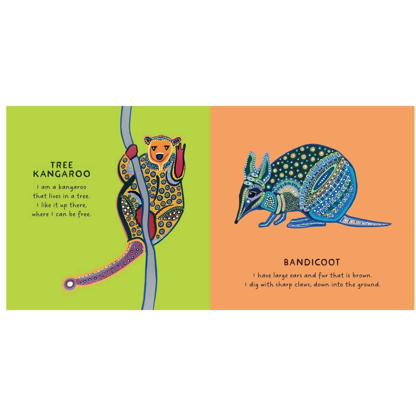 BOOKS & CO - OUR MARSUPIALS by Bronwyn Bancroft Board Book