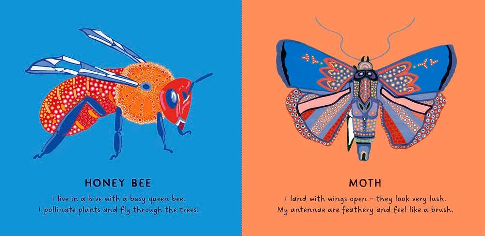 BOOKS & CO - Our Bugs by Bronwyn Bancroft