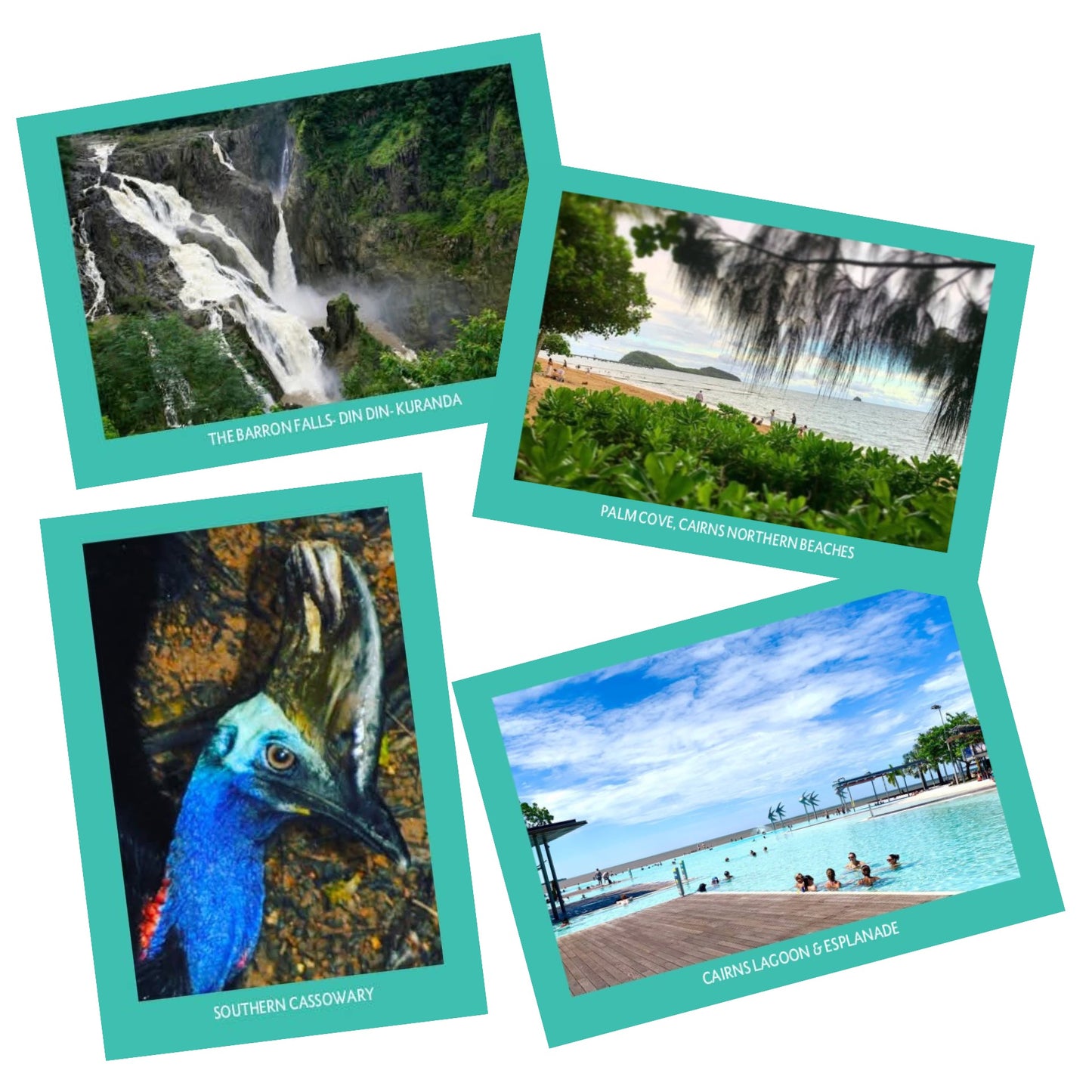 MAKIN' WHOOPEE - THE ESPLANADE & LAGOON - POSTCARD