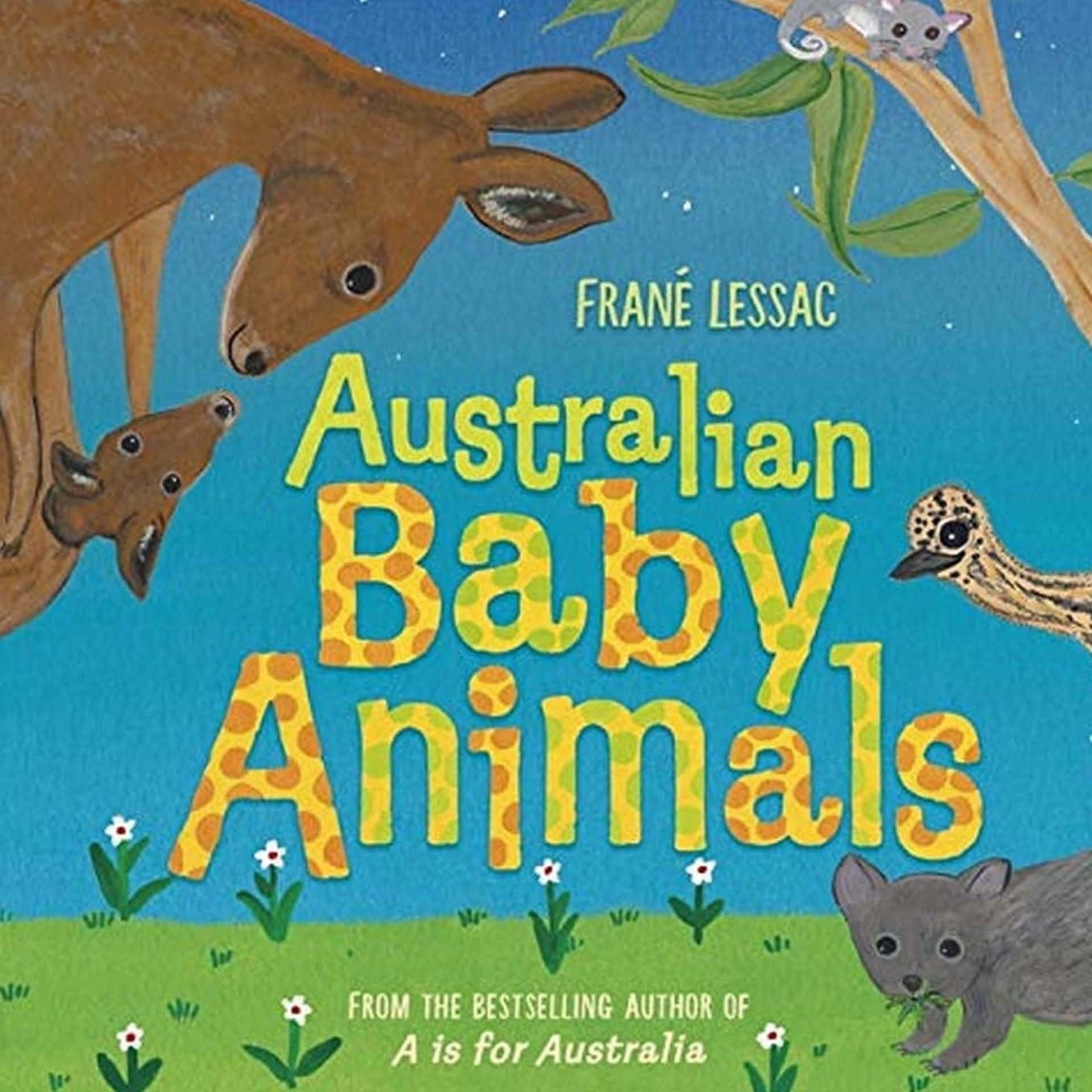 BOOKS & CO - AUSTRALIAN BABY ANIMALS By Frané Lessac - Board Book