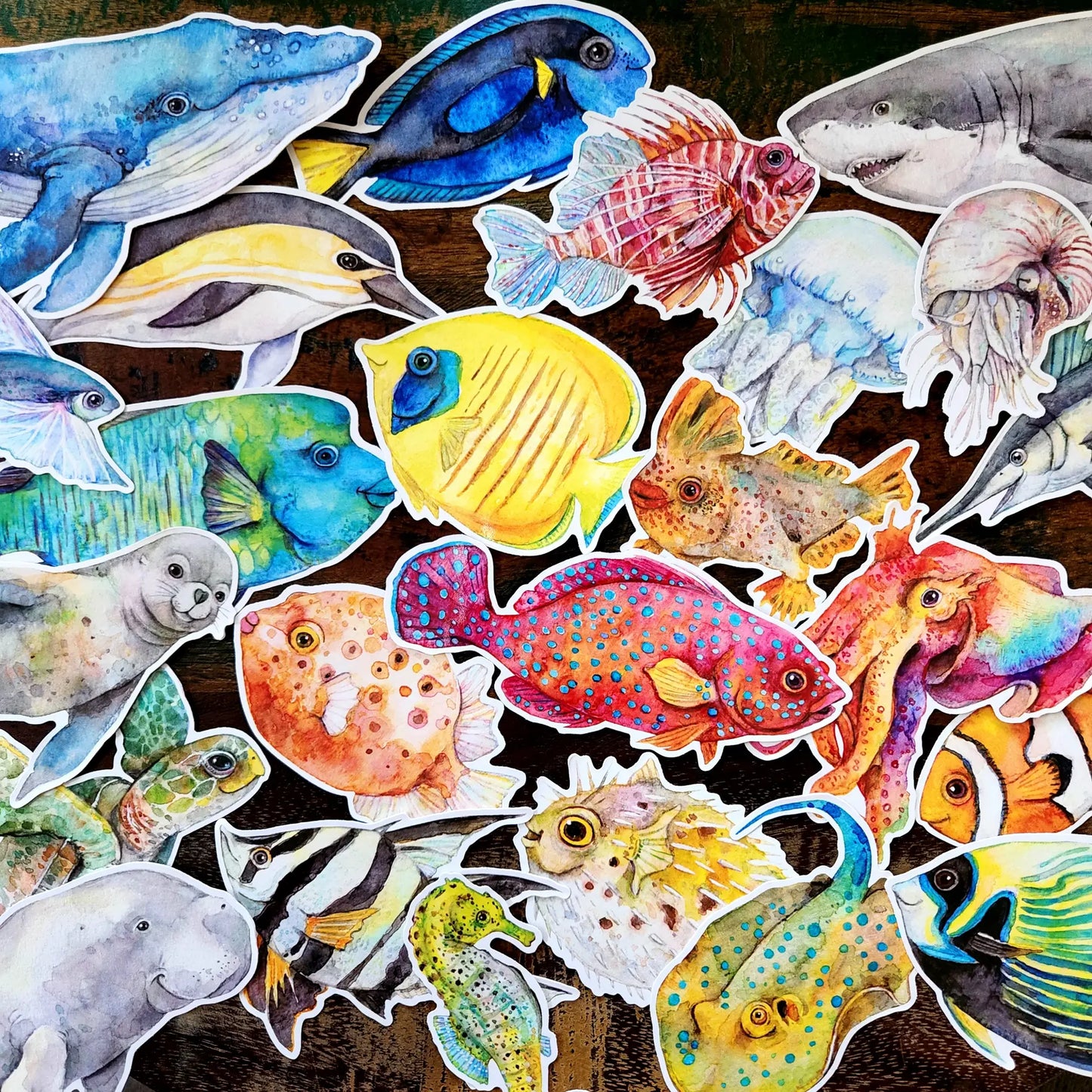 WATERCOLOURS BY CAT- Fantail Ray - Large Australian Marine Life Vinyl Stickers