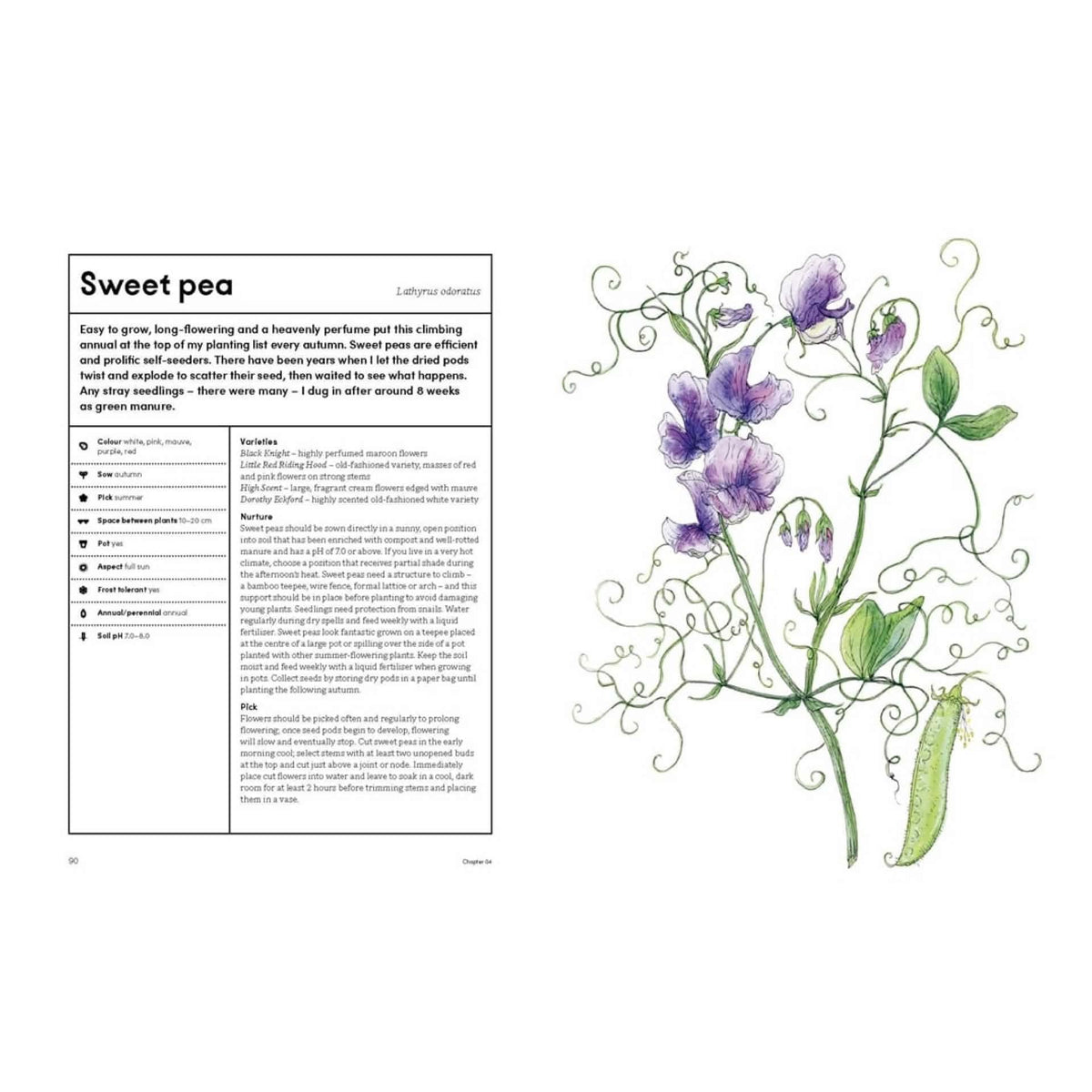 BOOKS & CO - THE PICKING GARDEN - Jo Turner
