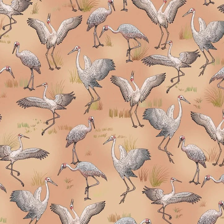 BOOKS & CO - ALL WRAPPED UP : FLORA & FAUNA by Eloise Short