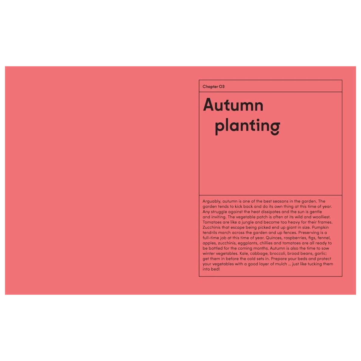 BOOKS & CO - THE KITCHEN GARDEN - Lucy Mora