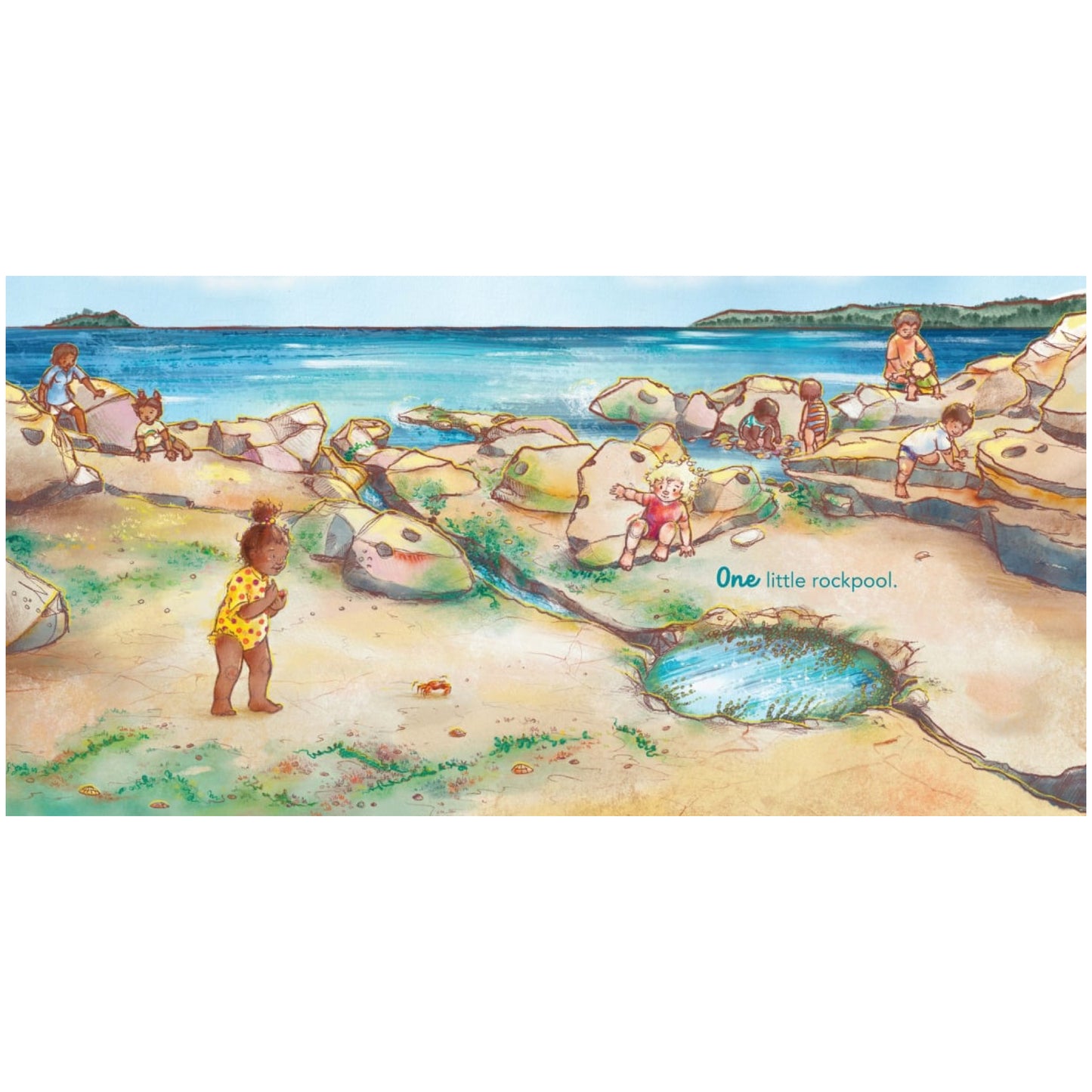 BOOKS & CO - IN THE ROCKPOOL - Andrea Rowe