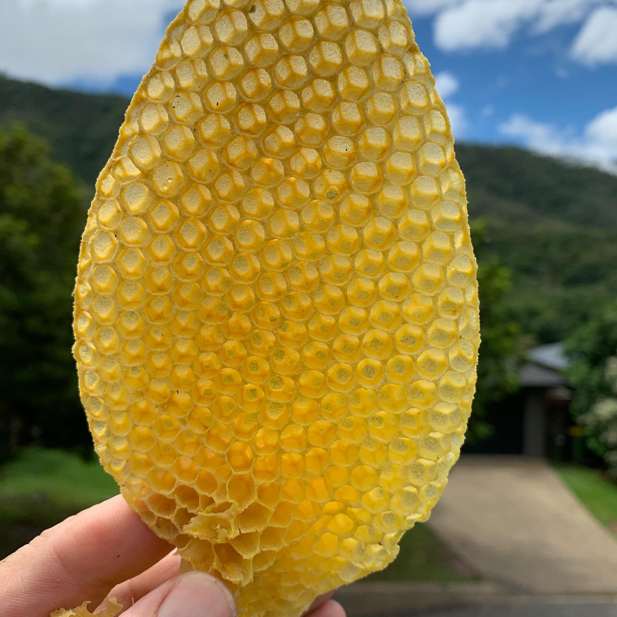 KISS OF A BEE PEPPERMINT LIP BALM