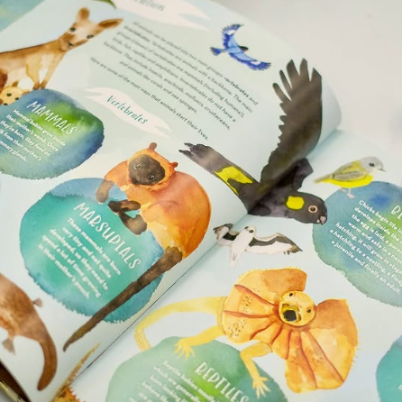 BOOKS & CO - Australia’s Baby Animals By Jess Racklyeft