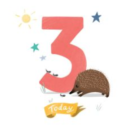 NUOVO - "Echidna is Three" SMALL GREETING CARD - Cat MacInnes