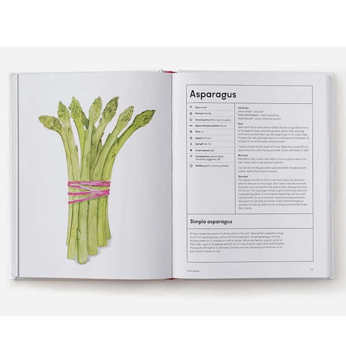 BOOKS & CO - THE KITCHEN GARDEN - Lucy Mora