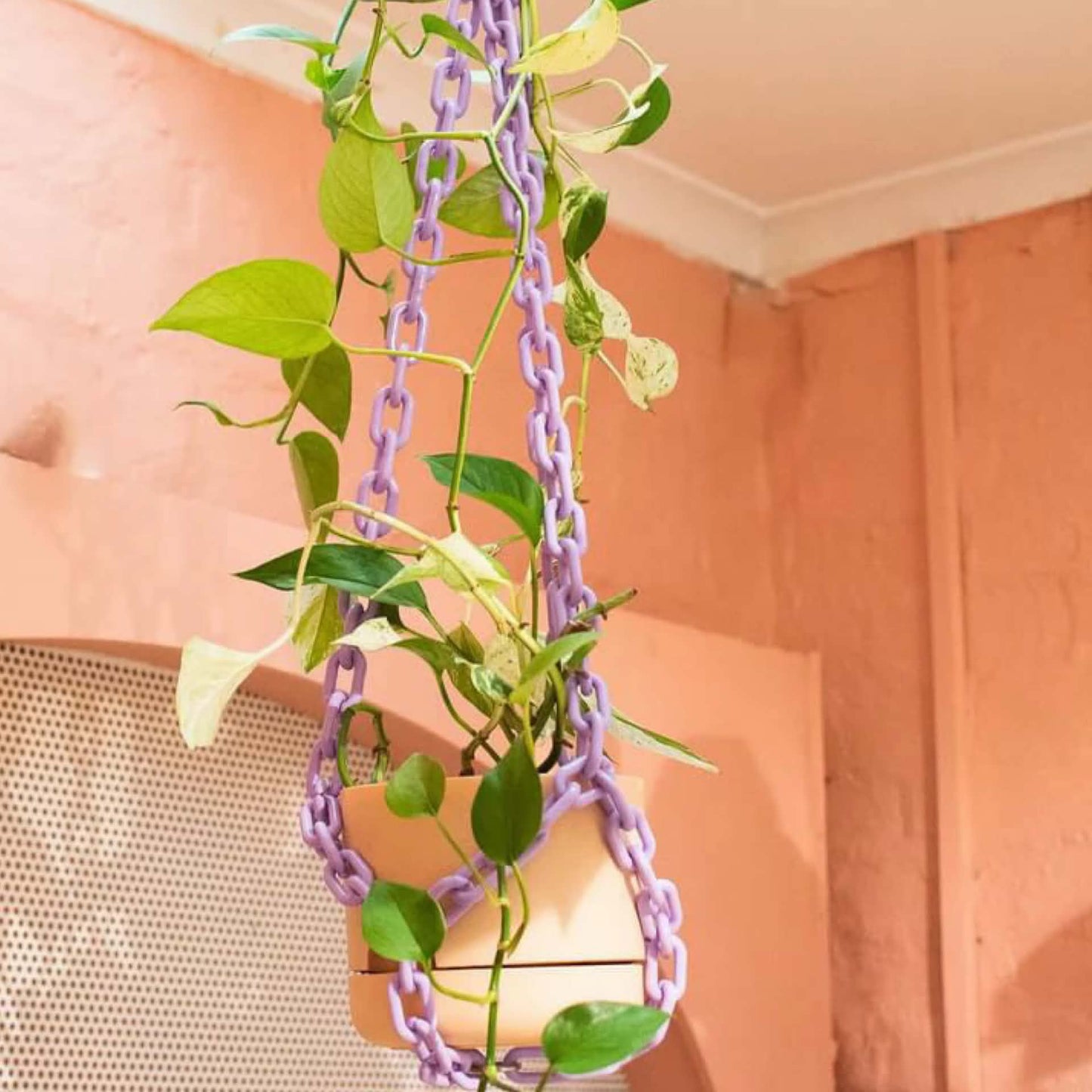 WOLJAM - Lilac Plant Chain
