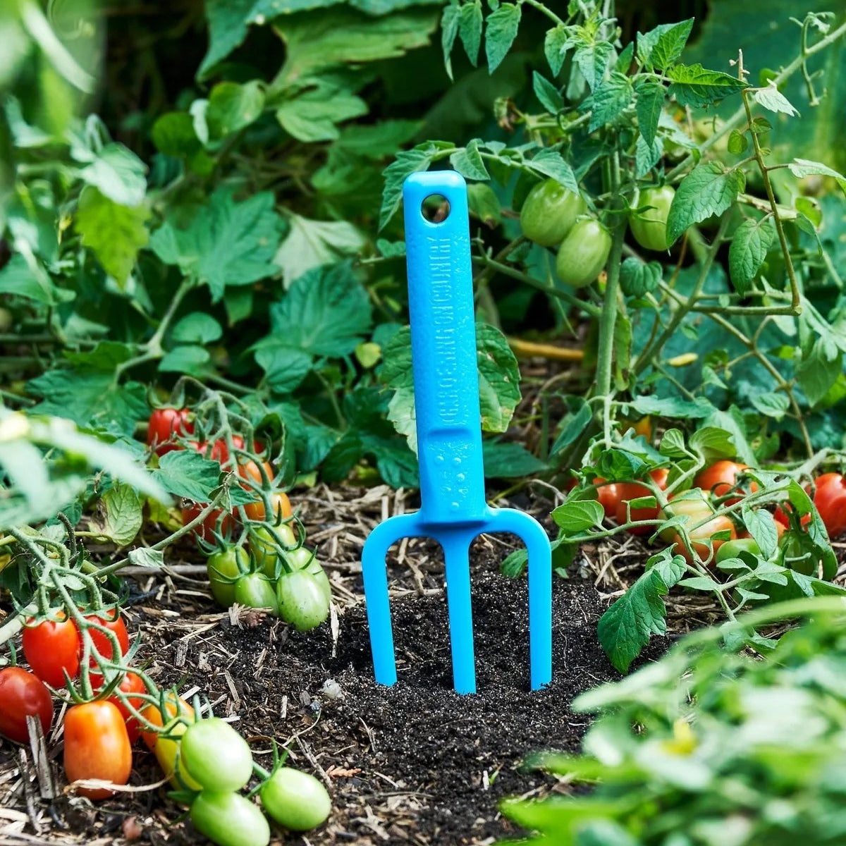 GARDENING ON COUNTRY - Casso Fork Kakadu Green — Recycled Plastic, Australian Made