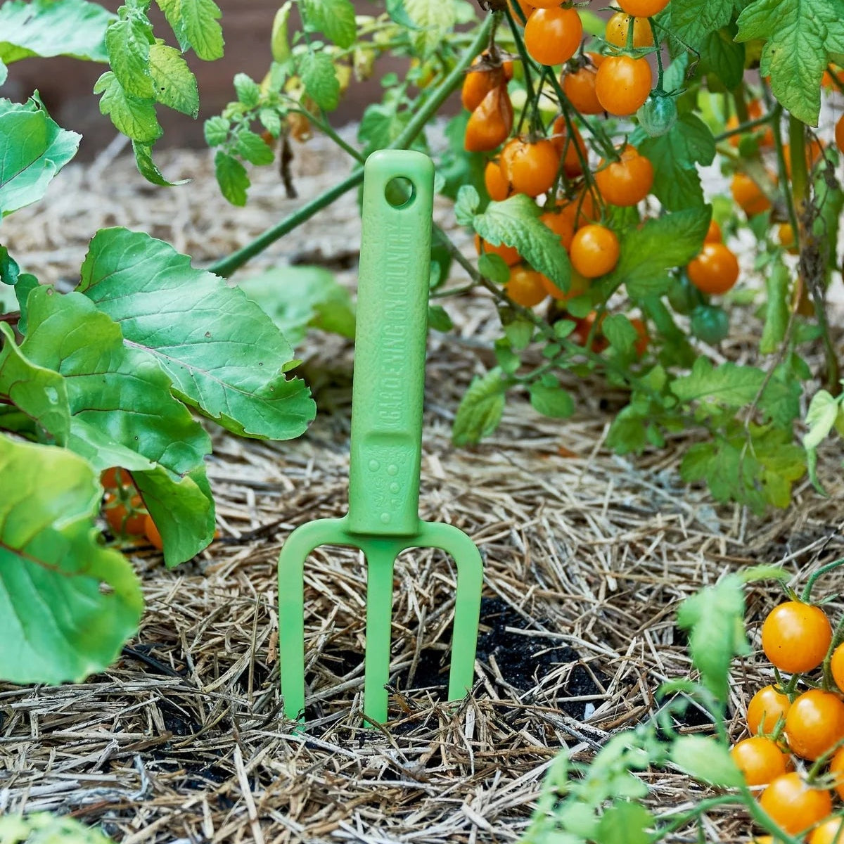 GARDENING ON COUNTRY - Casso Fork Kakadu Green — Recycled Plastic, Australian Made