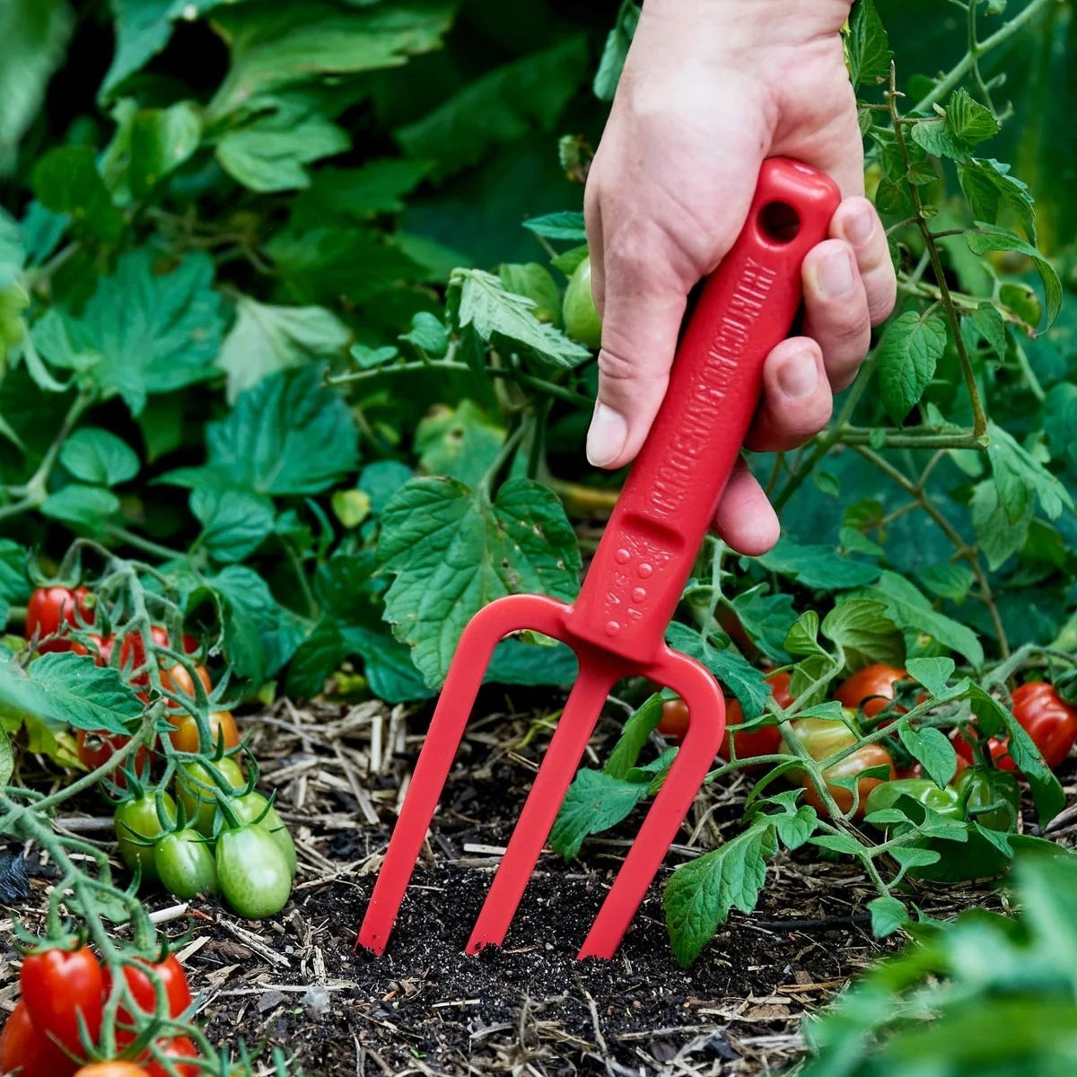 GARDENING ON COUNTRY - Casso Fork Kakadu Green — Recycled Plastic, Australian Made