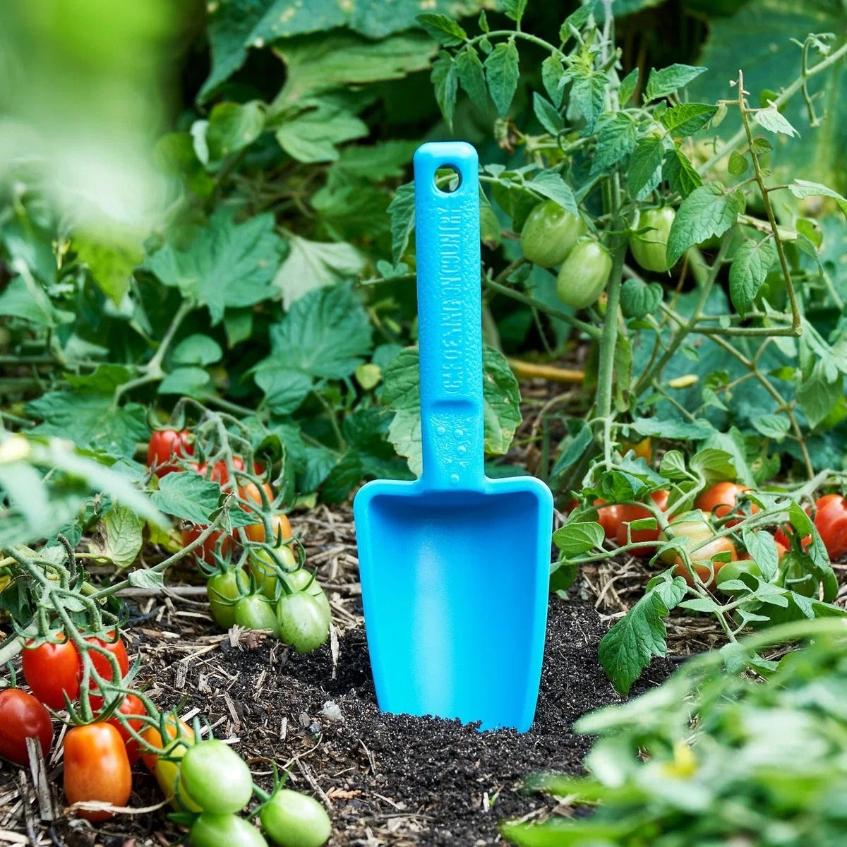GARDENING ON COUNTRY - Womby Hand Trowel  Kakadu Green — Recycled Plastic, Australian Made