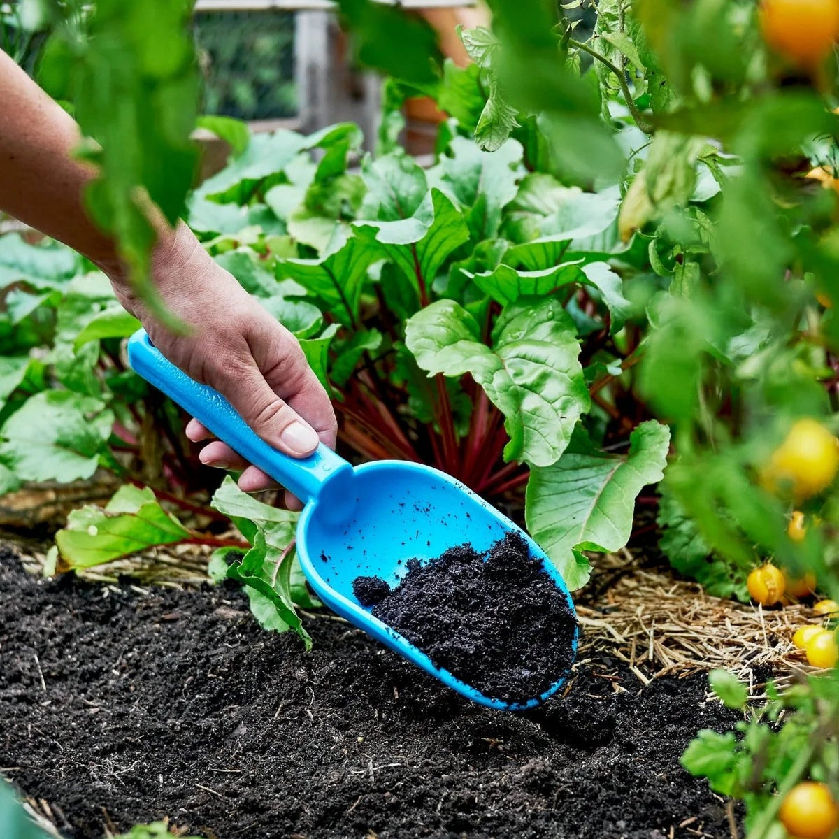 GARDENING ON COUNTRY - Peli Scoop BumBunga Pink — Recycled Plastic, Australian Made