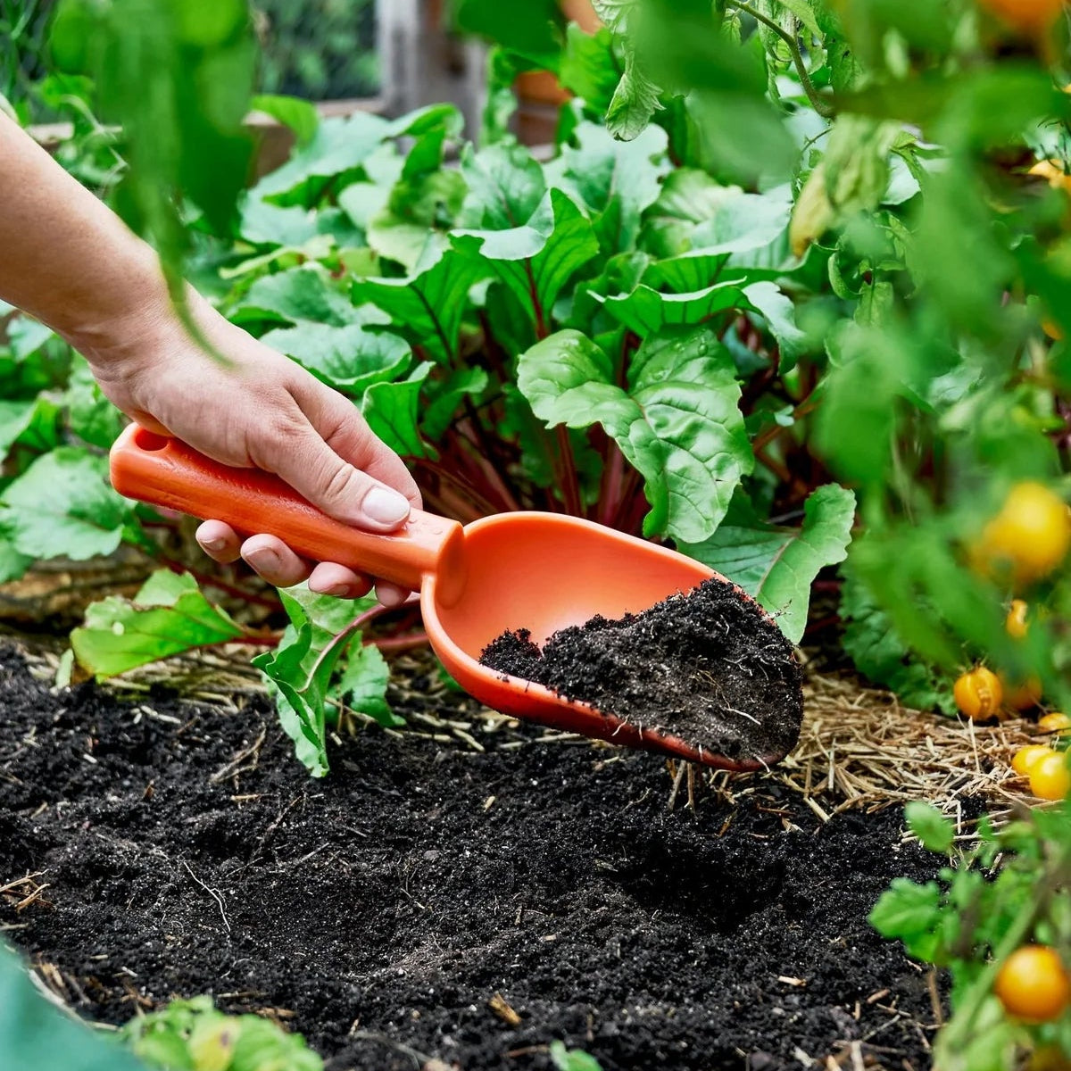 GARDENING ON COUNTRY - Peli Scoop BumBunga Pink — Recycled Plastic, Australian Made