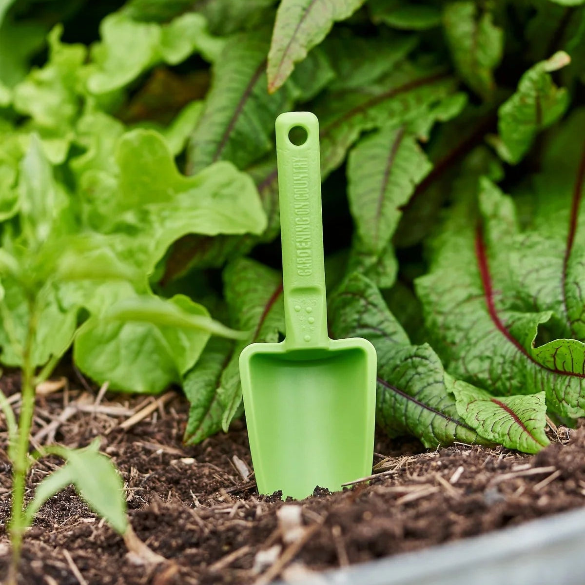 GARDENING ON COUNTRY - Joey Kids Trowel Swan River Purple – Recycled Plastic Kids Garden & Beach Trowel