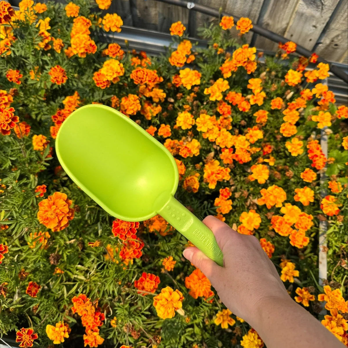 GARDENING ON COUNTRY - Peli Scoop BumBunga Pink — Recycled Plastic, Australian Made