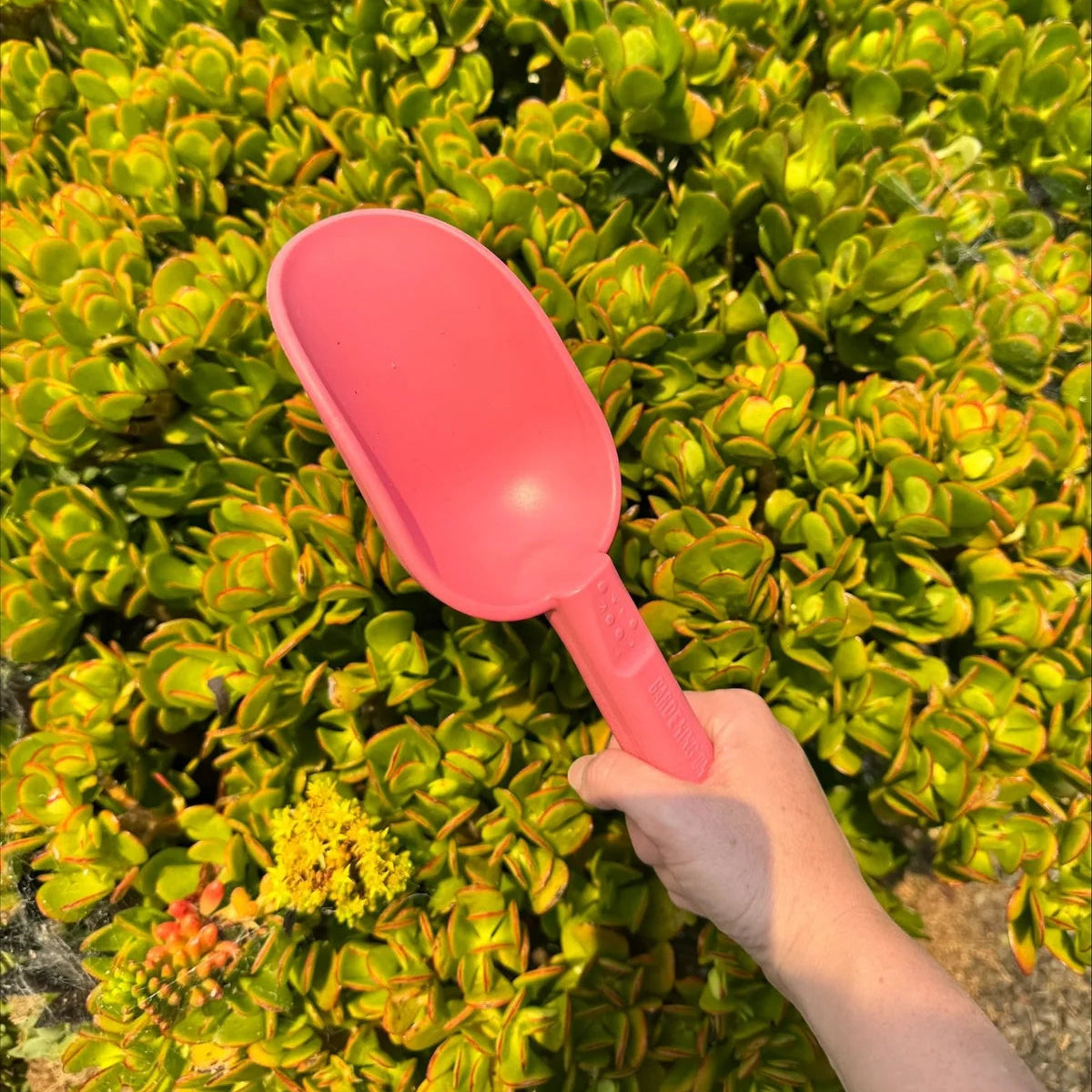 GARDENING ON COUNTRY - Peli Scoop BumBunga Pink — Recycled Plastic, Australian Made