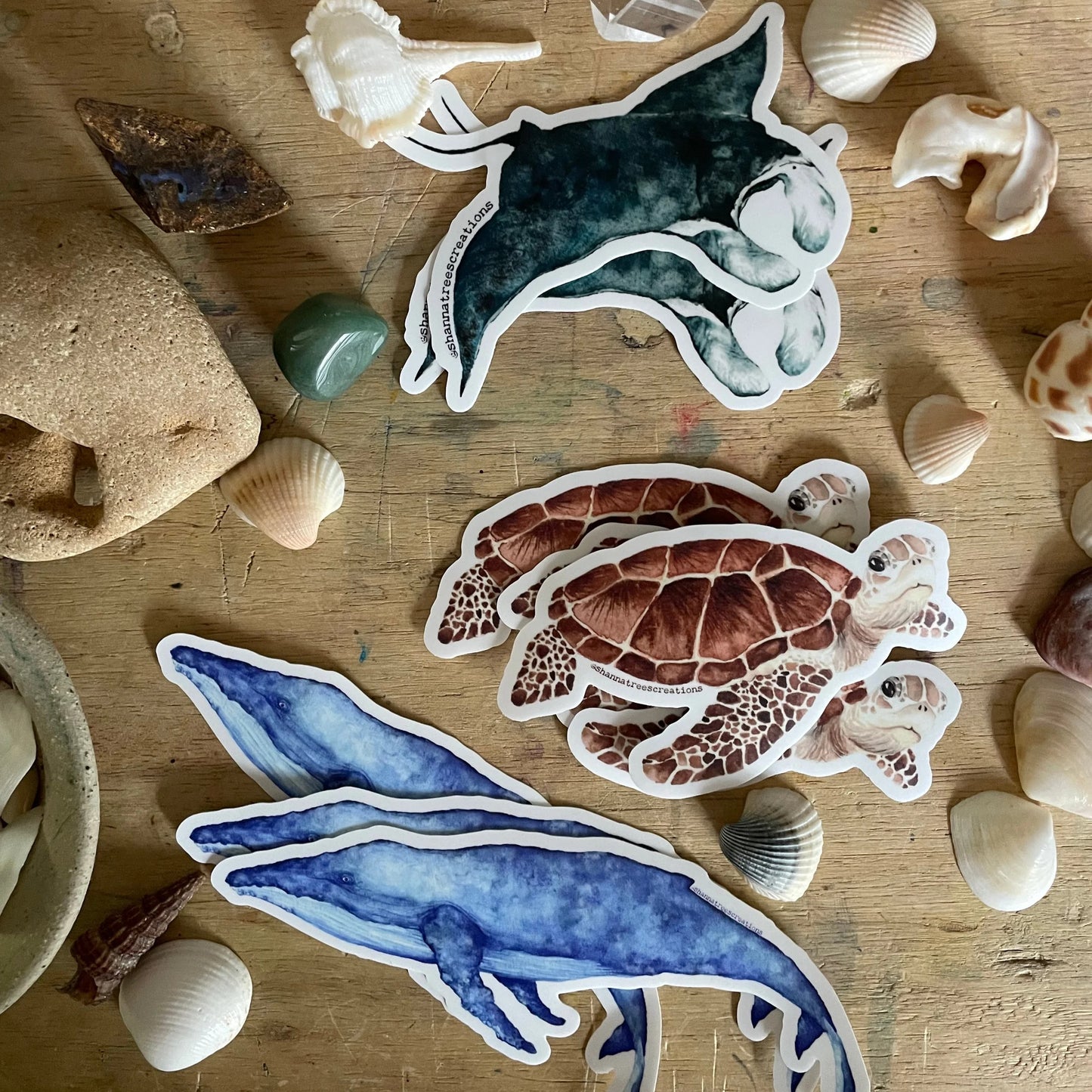 Shanna Trees Creations- Green Turtle Medium Sticker