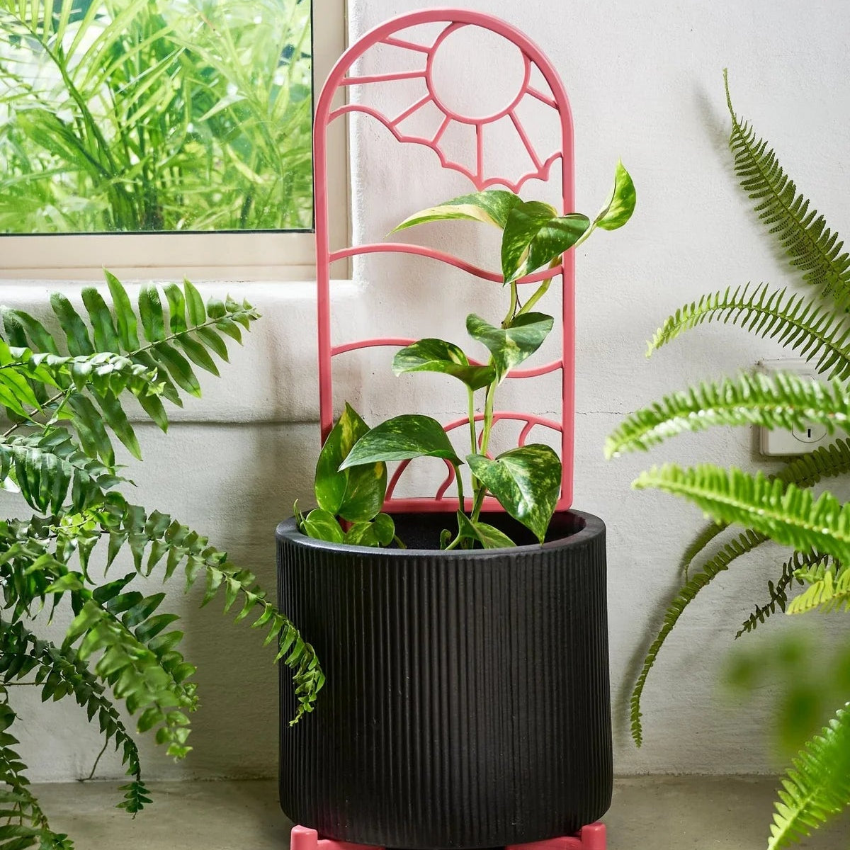 GARDENING ON COUNTRY - Wonga Garden Trellis Multicoloured— Recycled Plastic, Australian Made