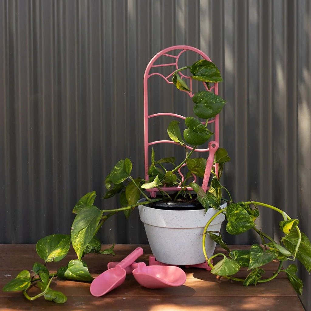GARDENING ON COUNTRY - Wonga Garden Trellis Multicoloured— Recycled Plastic, Australian Made