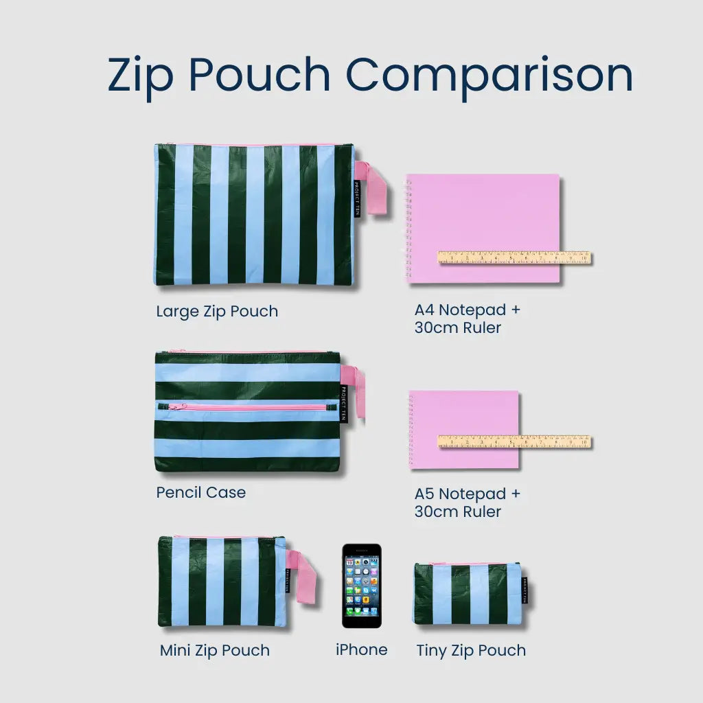 PROJECT TEN - "Multi Stripe" MINI Zip Pouch