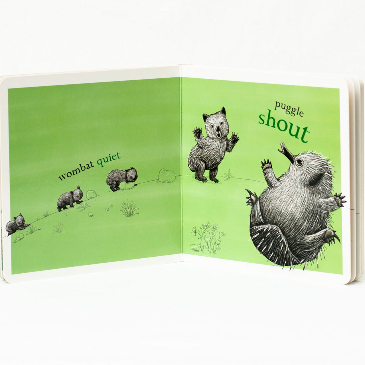 BOOKS & CO - RENEE TREML - WOMBAT BIG, PUGGLE SMALL CHILDREN BOOK